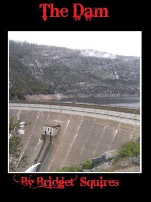 cover image of The Dam
